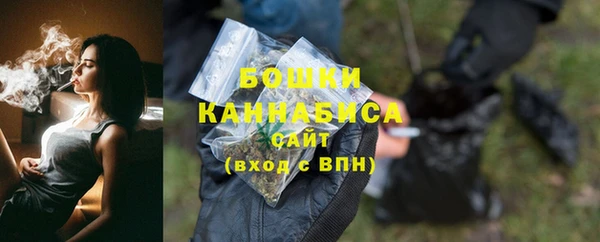 МДПВ Богородск