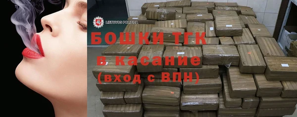 МДПВ Богородск