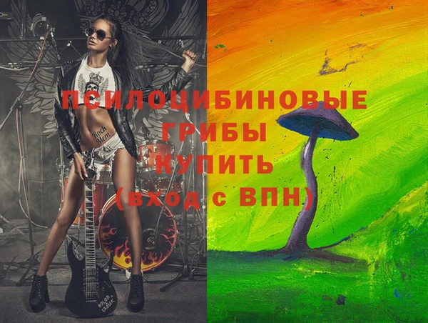 меф Богородицк