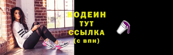 МДПВ Богородск