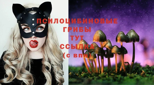 прущий лед Белоозёрский