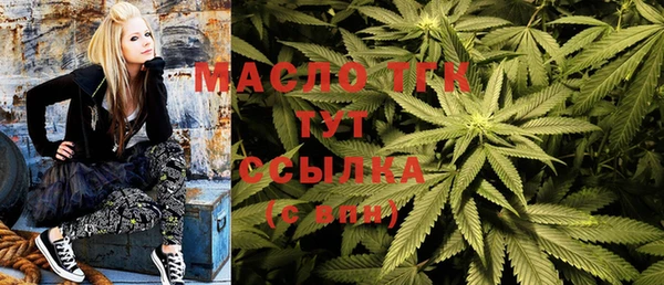 МДПВ Богородск