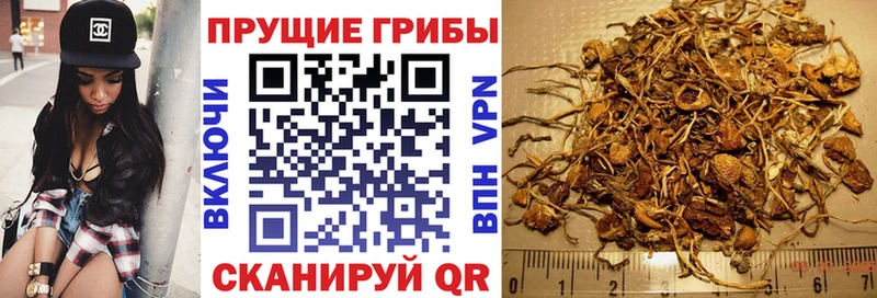 Галлюциногенные грибы Magic Shrooms  Светогорск 